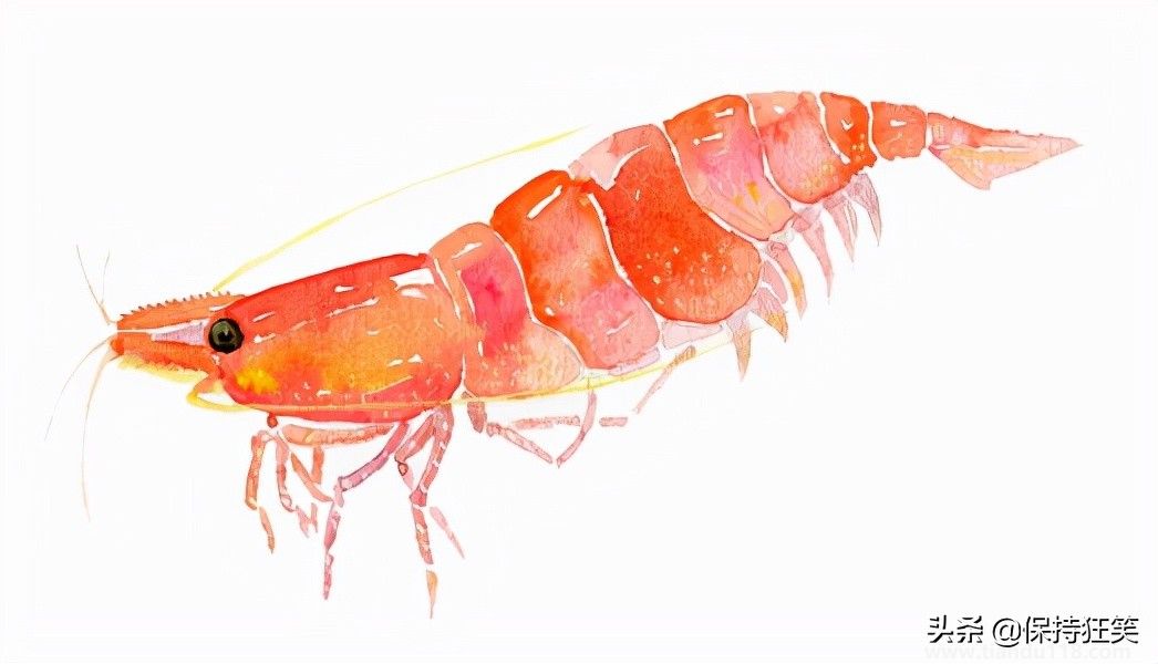 臺(tái)灣十大特產(chǎn)排行榜 臺(tái)灣特產(chǎn)什么最出名 來(lái)臺(tái)旅游值得帶的伴手禮