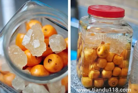 枇杷泡酒去皮好還是不去皮好2