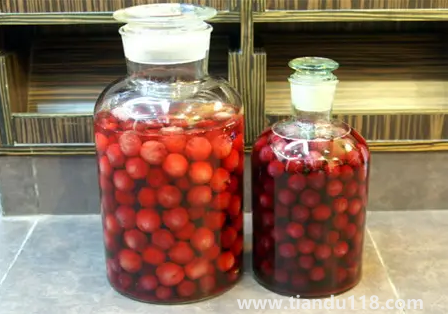 楊梅不洗可以直接泡酒嗎(楊梅酒泡幾個(gè)月可以喝)(圖2) 楊梅不洗可以直接泡酒嗎2