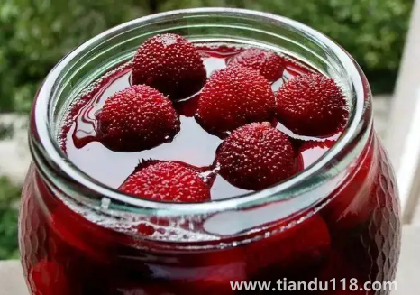 楊梅不洗可以直接泡酒嗎(楊梅酒泡幾個(gè)月可以喝)(圖3) 楊梅不洗可以直接泡酒嗎3