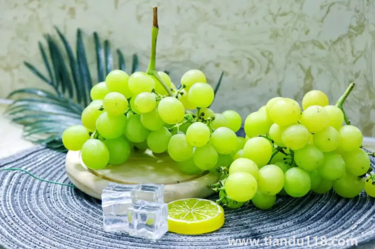 陽光玫瑰葡萄怎么辨別真假3