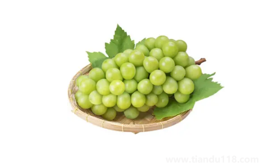 陽光玫瑰葡萄和晴王葡萄是一個品種嗎(吃陽光玫瑰有什么好處)(圖2) 陽光玫瑰葡萄和晴王葡萄是一個品種嗎2