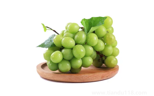 陽光玫瑰葡萄是熱性還是涼性(陽光玫瑰葡萄多少錢一斤)(圖2) 陽光玫瑰葡萄是熱性還是涼性2