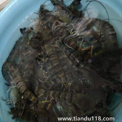 水煮蝦的做法（水煮蝦怎么做）(圖2)