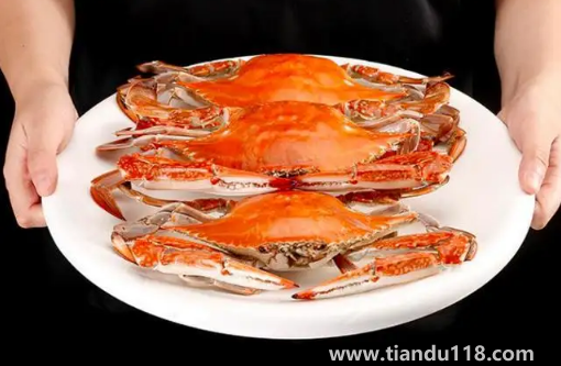 蒸梭子蟹用冷水還是用熱水(蒸梭子蟹的技巧)(圖1) 蒸梭子蟹用冷水還是用熱水1