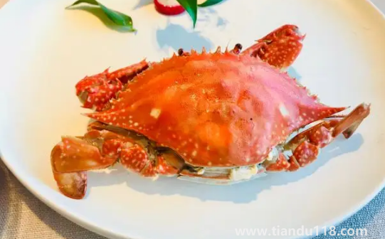 蒸梭子蟹正著放還是反著放3