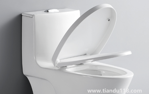 馬桶圈裂了有單賣(mài)的嗎（馬桶坐的那個(gè)圈壞了怎么辦）