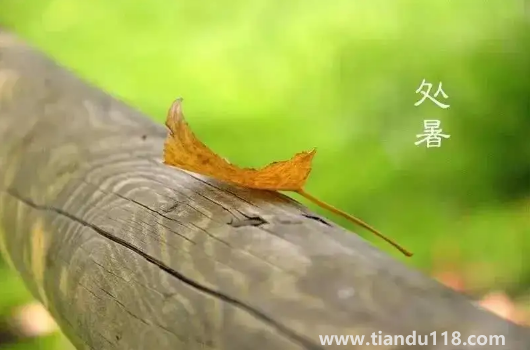 2022處暑之后天氣會(huì)涼快一些嗎3