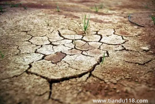 2022年為什么干旱地區(qū)多1
