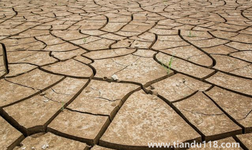 2022年為什么干旱地區(qū)多3