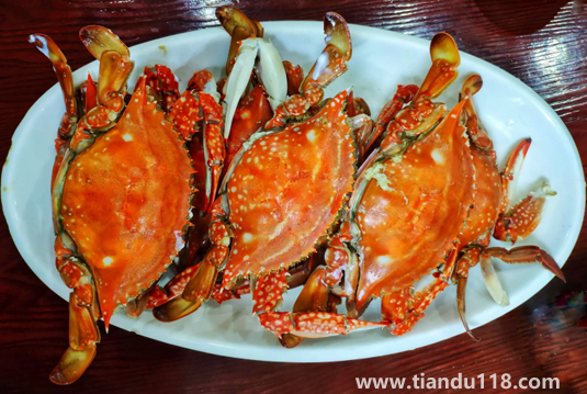 蒸梭子蟹要放生姜片嗎(梭子蟹怎么挑選)(圖1) 蒸梭子蟹要放生姜片嗎1