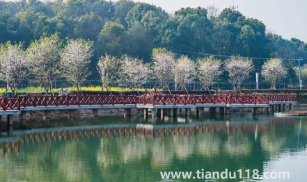 2022國慶開車去長沙是1號走好還是30號晚上好(國慶開車去長沙什么時(shí)候堵車厲害)(圖3) 2022國慶開車去長沙是1號走好還是30號晚上好3