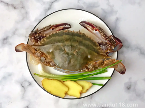 梭子蟹幾月份最便宜(梭子蟹多少錢一斤)(圖2) 梭子蟹幾月份最便宜2