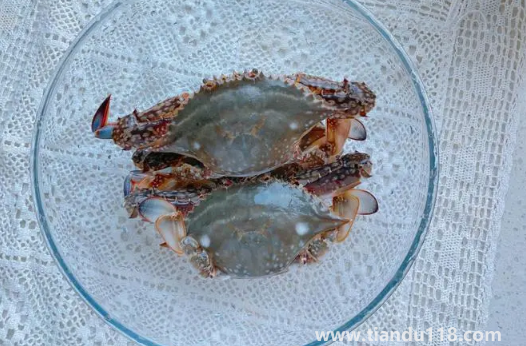 梭子蟹幾月份最便宜(梭子蟹多少錢一斤)(圖1) 梭子蟹幾月份最便宜1