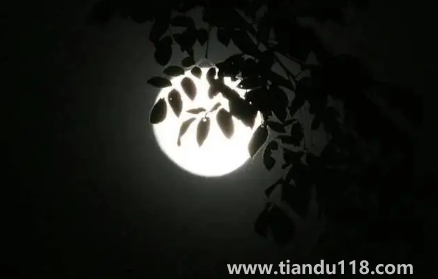 2022河南中秋節(jié)高速公路免費嗎(中秋節(jié)放假是從哪一年開始的)(圖2) 2022河南中秋節(jié)高速公路免費嗎2