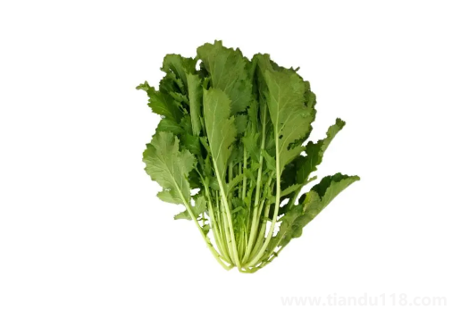 雪里蕻的功效與作用2