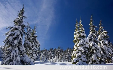 2022年到2023年冬天冷不冷（2023年冬天會比2022年冷嗎）