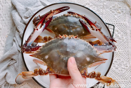 梭子蟹買回來(lái)沒(méi)多久就死了可以吃嗎（梭子蟹的做法推薦）