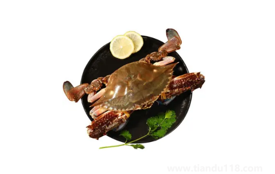 梭子蟹什么樣的肉多(梭子蟹多少錢一只)(圖2) 梭子蟹什么樣的肉多2