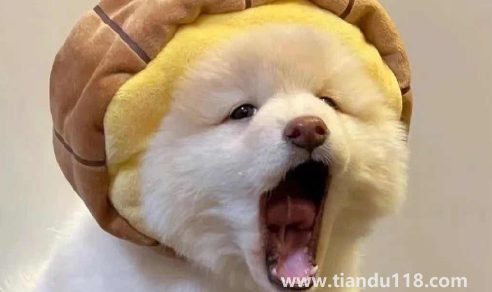 男人真正放棄你會更換頭像嗎(為什么男生要和你用情頭)(圖3) 男人真正放棄你會更換頭像嗎3