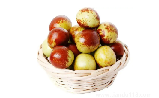 冬棗怎么吃簡單好吃(冬棗可以放幾天)(圖2) 冬棗怎么吃簡單好吃2