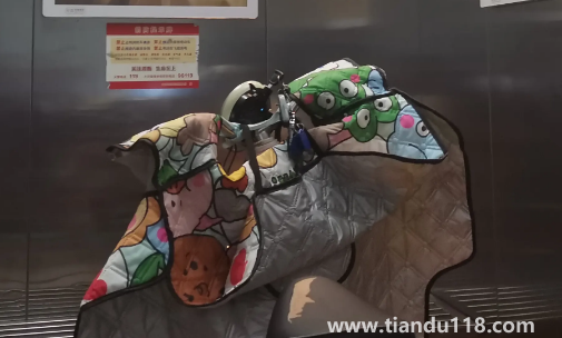 電動(dòng)車進(jìn)入電梯違法嗎(電動(dòng)車進(jìn)入電梯為什么會(huì)起火)(圖3) 電動(dòng)車進(jìn)入電梯違法嗎3