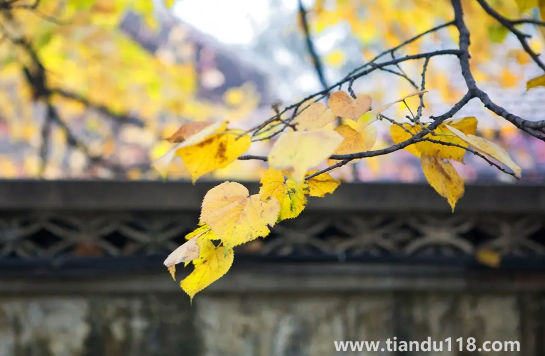 2022年中秋節(jié)后天氣還熱嗎2