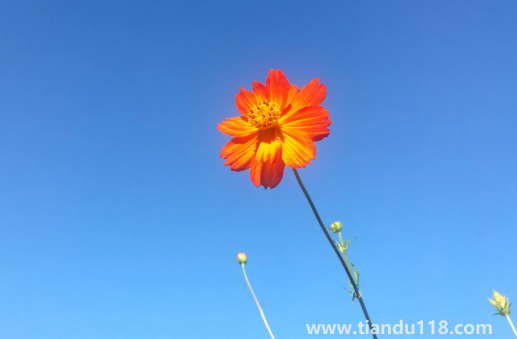 2022年中秋節(jié)后天氣還熱嗎3