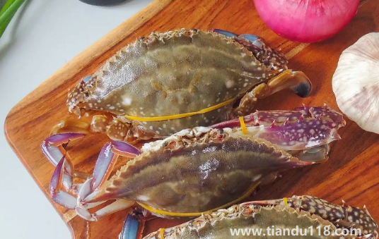 梭子蟹凍了一個(gè)月能不能吃了（冷凍梭子蟹怎么做最好吃）