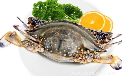 梭子蟹順豐快遞的話能活多久(梭子蟹該如何保存)(圖2) 梭子蟹順豐快遞的話能活多久2