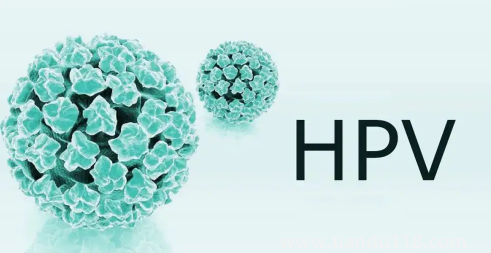 支付寶九價疫苗預(yù)約要多久(九價疫苗三針一共多少錢)(圖3) 支付寶九價疫苗預(yù)約要多久3