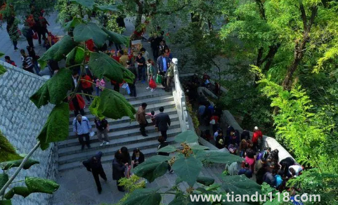 重陽(yáng)節(jié)登高是早上還是晚上（重陽(yáng)節(jié)登山注意什么）