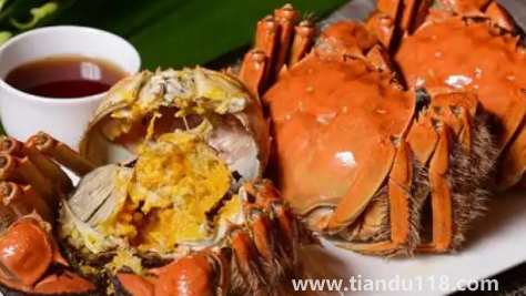 2022陽(yáng)澄湖大閘蟹十月份才上市嗎(陽(yáng)澄湖大閘蟹多少錢一個(gè))(圖3) 2022陽(yáng)澄湖大閘蟹十月份才上市嗎3