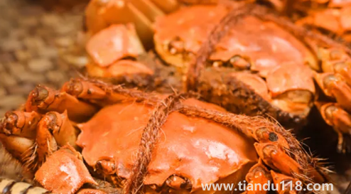 2022陽(yáng)澄湖大閘蟹中秋節(jié)能吃到嗎(陽(yáng)澄湖大閘蟹在哪里買(mǎi)最正宗)(圖3) 2022陽(yáng)澄湖大閘蟹中秋節(jié)能吃到嗎3