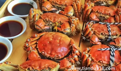 2022陽(yáng)澄湖大閘蟹中秋節(jié)能吃到嗎(陽(yáng)澄湖大閘蟹在哪里買(mǎi)最正宗)(圖2) 2022陽(yáng)澄湖大閘蟹中秋節(jié)能吃到嗎2