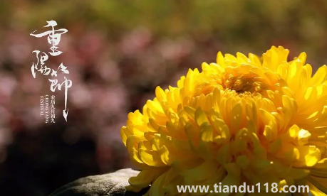 2022年重陽(yáng)節(jié)天氣冷嗎（重陽(yáng)節(jié)溫度大概多少度）