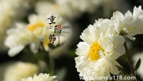 2022年學(xué)校重陽(yáng)節(jié)什么時(shí)候開始放假（2022年重陽(yáng)節(jié)是公歷幾月幾日）