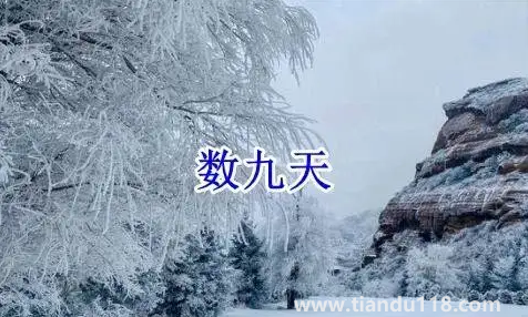 2022數(shù)九從哪一天開始到哪一天結束1