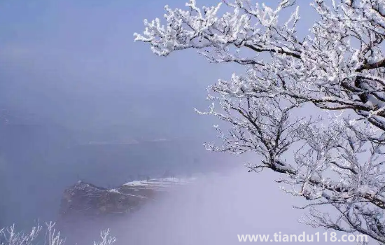 2022數(shù)九從哪一天開始到哪一天結束2