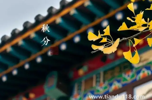 2022年秋分是農(nóng)歷幾月幾號(hào)幾點(diǎn)幾分幾秒3