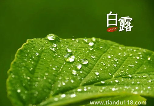 2022年白露在什么時間幾點幾分幾秒鐘2