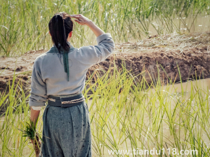 覆流年男主有沒(méi)有重生(覆流年主要講的什么)(圖2) 覆流年男主有沒(méi)有重生2