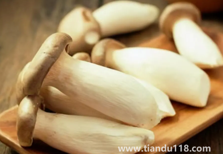 杏鮑菇切成片焯水嗎(杏鮑菇不焯水有毒嗎)(圖3) 杏鮑菇切成片焯水嗎3