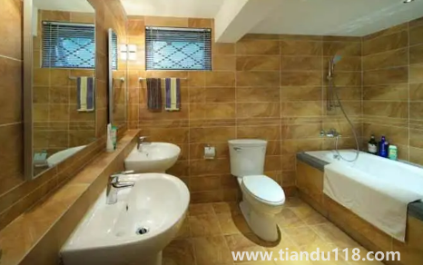 廁所堵了用什么通最方便最快（廁所堵了疏通不了怎么辦）