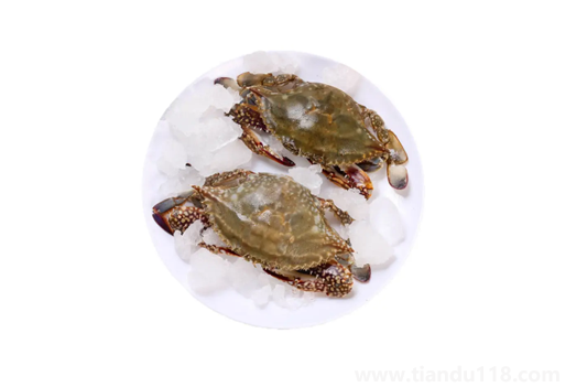 昨天買的梭子蟹今天不動了能吃嗎（活的梭子蟹怎么保存）