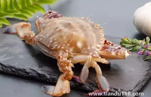 梭子蟹什么顏色是肥的(食用梭子蟹的注意事項)(圖3) 梭子蟹什么顏色是肥的3