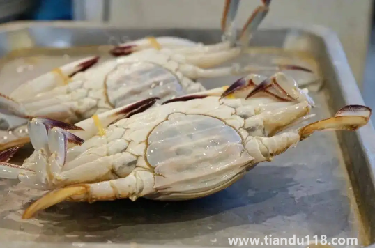 梭子蟹為什么沒(méi)有蟹黃(梭子蟹怎么挑選蟹黃多的)(圖2) 梭子蟹為什么沒(méi)有蟹黃2