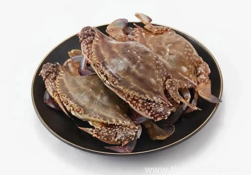 梭子蟹哪種有蟹黃(蟹黃哪些人不能吃)(圖2) 梭子蟹哪種有蟹黃2