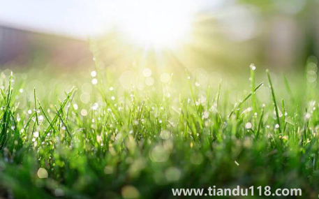 2022北京的冬天什么時候開始冷3