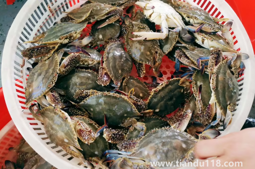 網(wǎng)上買(mǎi)梭子蟹是活的還是死的（梭子蟹寄過(guò)來(lái)死了能吃嗎）